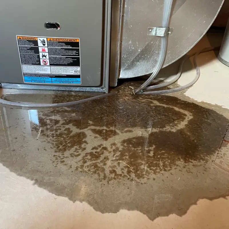 Appliance Leak Cleanup in Bayard, NE