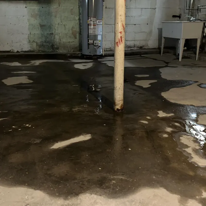 Emergency Water Extraction And Removal in Bayard, NE